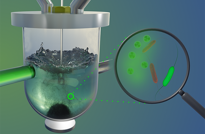 Mikroorganismen können helfen, Schwermetalle aus dem Abwasser zu holen