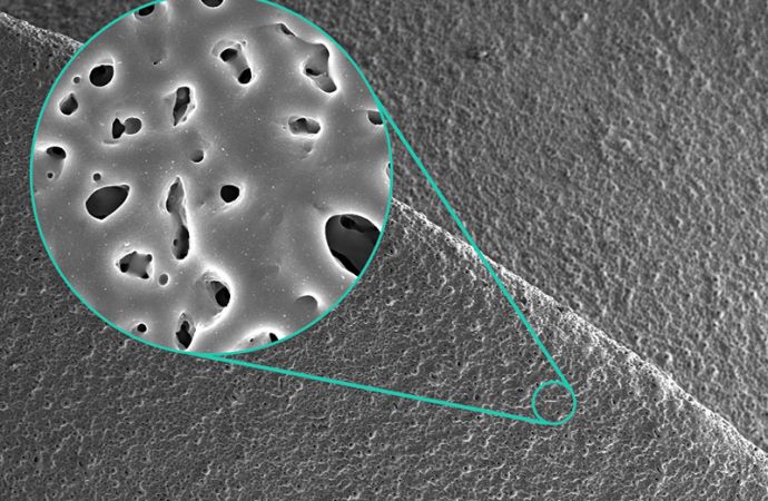 Mit innovativen Oberflächen schnell zu sicheren Knochenimplantaten
