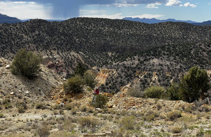 Wolfram: Dual-Use als Waffe im Rohstoffkrieg