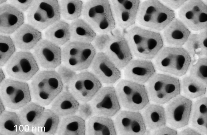 Ionenpumpe für sauberes Wasser