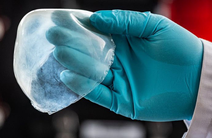 aktuelles hightlights